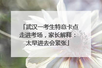 武汉一考生特意卡点走进考场，家长解释：太早进去会紧张