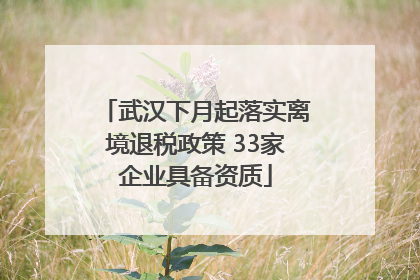 武汉下月起落实离境退税政策 33家企业具备资质