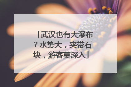 武汉也有大瀑布？水势大，夹带石块，游客莫深入