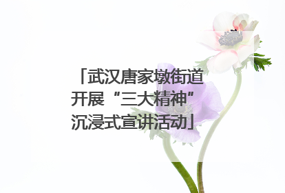 武汉唐家墩街道开展“三大精神”沉浸式宣讲活动