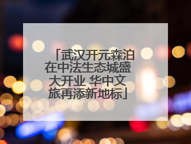 武汉开元森泊在中法生态城盛大开业 华中文旅再添新地标