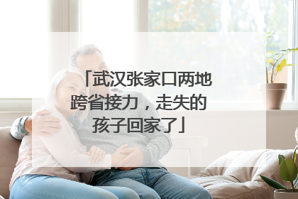 武汉张家口两地跨省接力，走失的孩子回家了