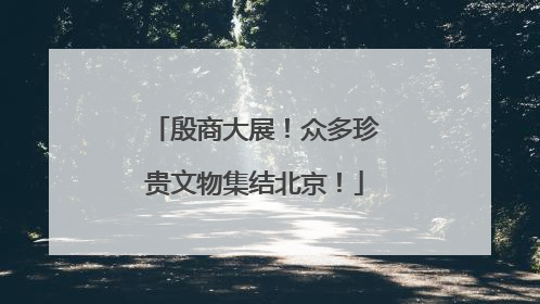 殷商大展！众多珍贵文物集结北京！