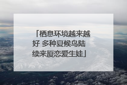 栖息环境越来越好 多种夏候鸟陆续来厦恋爱生娃