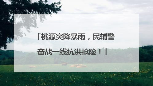 桃源突降暴雨，民辅警奋战一线抗洪抢险！