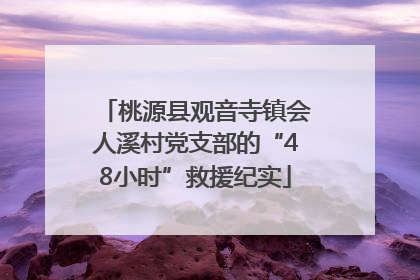 桃源县观音寺镇会人溪村党支部的“48小时”救援纪实