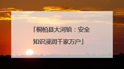 桐柏县大河镇：安全知识浸润千家万户