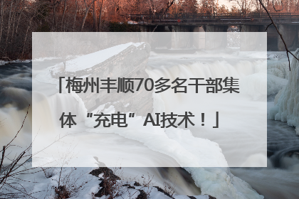 梅州丰顺70多名干部集体“充电”AI技术！
