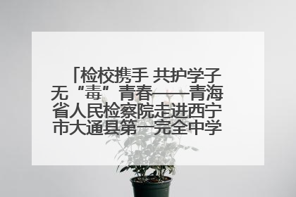 检校携手 共护学子无“毒”青春——青海省人民检察院走进西宁市大通县第一完全中学开展禁毒宣传侧记