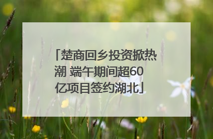 楚商回乡投资掀热潮 端午期间超60亿项目签约湖北