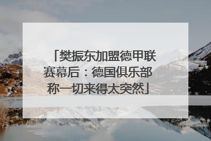 樊振东加盟德甲联赛幕后：德国俱乐部称一切来得太突然