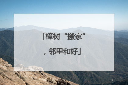樟树“搬家”，邻里和好