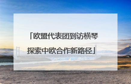 欧盟代表团到访横琴 探索中欧合作新路径
