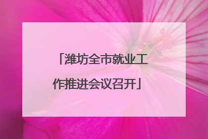 潍坊全市就业工作推进会议召开