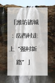 潍坊诸城：岳西村走上“强村新路”