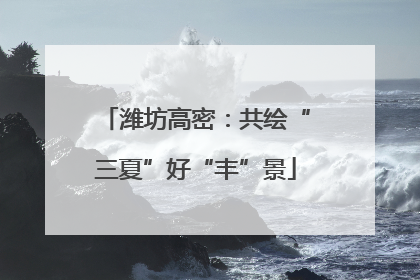 潍坊高密：共绘“三夏”好“丰”景