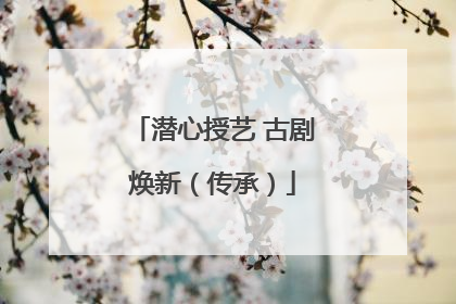 潜心授艺 古剧焕新（传承）