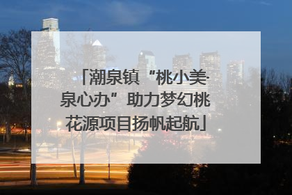 潮泉镇“桃小美·泉心办”助力梦幻桃花源项目扬帆起航