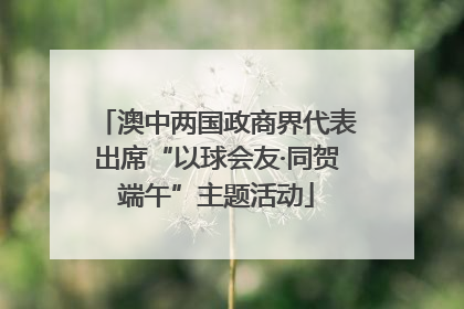 澳中两国政商界代表出席“以球会友·同贺端午”主题活动