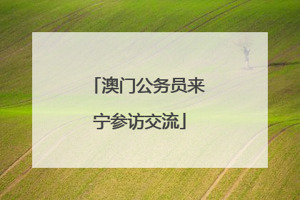 澳门公务员来宁参访交流