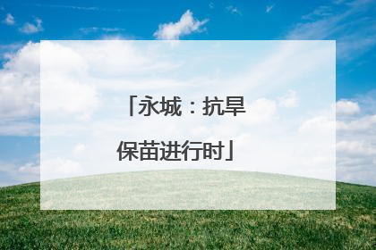 永城：抗旱保苗进行时