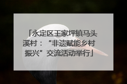 永定区王家坪镇马头溪村：“非遗赋能乡村振兴”交流活动举行