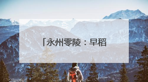 永州零陵：早稻管理见成效 稻浪飘香穗满田