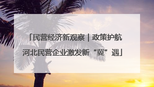 民营经济新观察｜政策护航 河北民营企业激发新“冀”遇