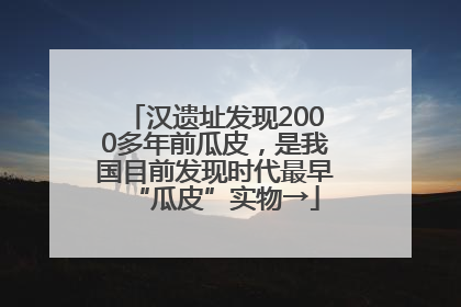 汉遗址发现2000多年前瓜皮，是我国目前发现时代最早“瓜皮”实物→