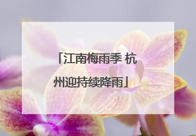 江南梅雨季 杭州迎持续降雨