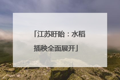 江苏盱眙：水稻插秧全面展开