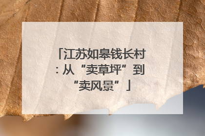 江苏如皋钱长村：从“卖草坪”到“卖风景”