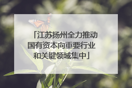 江苏扬州全力推动国有资本向重要行业和关键领域集中