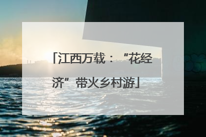 江西万载：“花经济”带火乡村游
