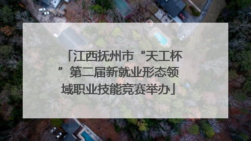 江西抚州市“天工杯”第二届新就业形态领域职业技能竞赛举办