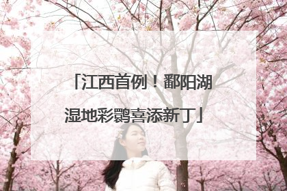江西首例！鄱阳湖湿地彩鹮喜添新丁