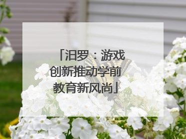 汨罗：游戏创新推动学前教育新风尚