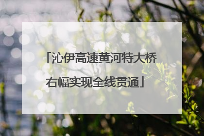 沁伊高速黄河特大桥右幅实现全线贯通
