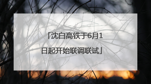 沈白高铁于6月1日起开始联调联试