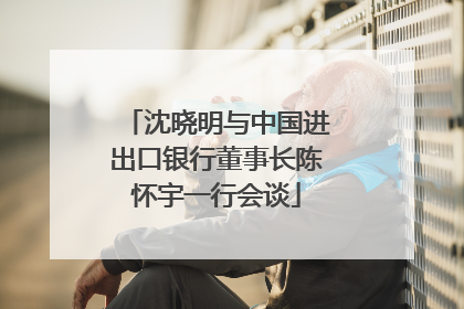 沈晓明与中国进出口银行董事长陈怀宇一行会谈
