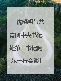 沈晓明与共青团中央书记处第一书记阿东一行会谈
