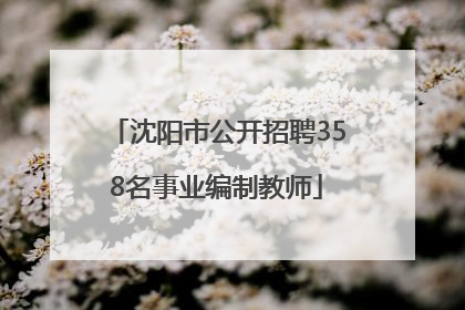 沈阳市公开招聘358名事业编制教师