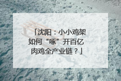 沈阳：小小鸡架如何“啄”开百亿肉鸡全产业链？