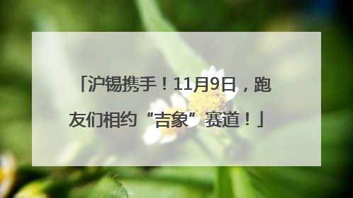 沪锡携手！11月9日，跑友们相约“吉象”赛道！