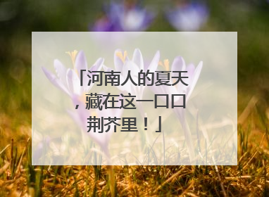 河南人的夏天，藏在这一口口荆芥里！