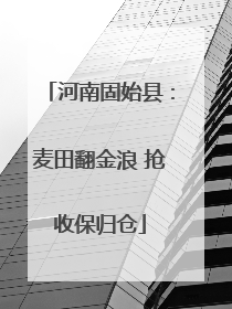 河南固始县：麦田翻金浪 抢收保归仓