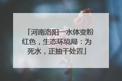 河南洛阳一水体变粉红色，生态环境局：为死水，正抽干处置
