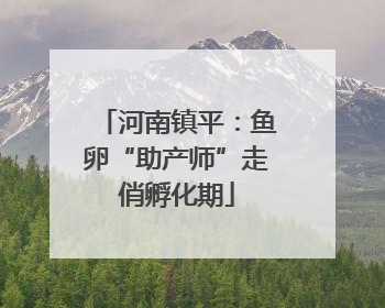 河南镇平：鱼卵“助产师”走俏孵化期