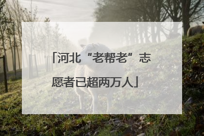 河北“老帮老”志愿者已超两万人