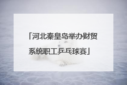 河北秦皇岛举办财贸系统职工乒乓球赛